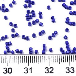 FGB 11/0 Grade A Glass Seed Beads&nbsp;X-SEED-S030-1024