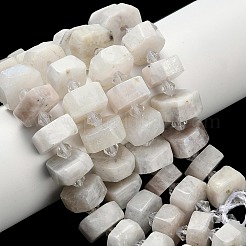 Natural Rainbow Moonstone & Green Opal & Labradorite & Picasso Jasper & Rhodonite & Ocean Jasper & Flower Amazonite & Botswana Agate Beads Strands&nbsp;G-L642-H01-01