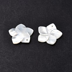 Natural White Shell Mother of Pearl Shell Pendants&nbsp;X-SSHEL-G014-60