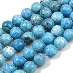 Natural Gemstone Hemimorphite Round Beads Strands&nbsp;G-L145-14mm-01