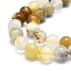 Natural Opal Beads Strands&nbsp;G-E576-12B