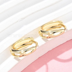 Hollow Brass Hoop Earrings&nbsp;EJEW-Z102-10G