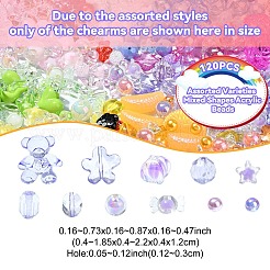 120 個 12 スタイル混合スタイルアクリルビーズ  混合図形  カメリア  6~24.5x6~22x5~21.5mm  穴：1.5~3mm  10個/スタイル&nbsp;MACR-YW0003-05A