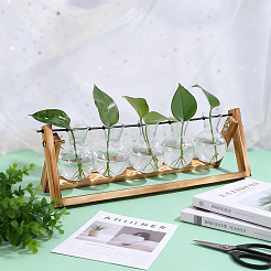 ペットの球根の形をした水耕栽培用花瓶  木製の土台付き植物テラリウム  バリーウッド  405x110x130mm&nbsp;AJEW-WH0709-387A