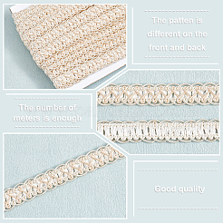 Polyester Braided Lace Trim&nbsp;OCOR-WH0078-09D