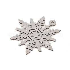 201 Stainless Steel Pendants&nbsp;STAS-Z109-10P