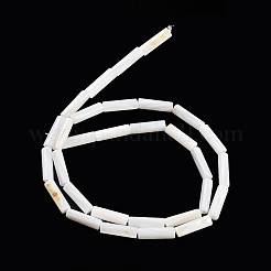 淡水シェルビーズ連売り  コラム  ホワイト  13x4mm  穴：0.5~1mm  約30個/連  15インチ（38.1cm）&nbsp;X-BSHE-L037-13