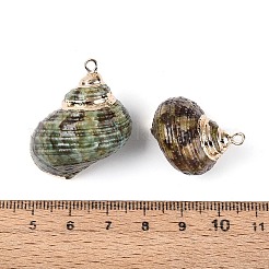 Electroplate Natural Sea Shell Pendants&nbsp;SSHEL-T018-02