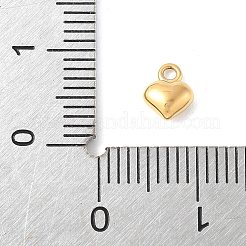 304 Stainless Steel Charms&nbsp;STAS-Q351-01G-B