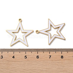 Ion Plating(IP) 304 Stainless Steel Pendants&nbsp;STAS-C083-15G-02