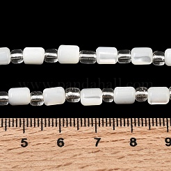 天然トロチッドシェル/トロカスシェルビーズ連売り  シードビーズで  コラム  ホワイト  6x5mm  穴：1mm  約18個/連  7.28''（18.5センチメートル）&nbsp;BSHE-A002-02A