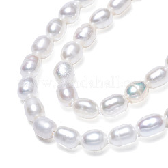 天然養殖淡水パールビーズ連売り  ライス  貝殻色  4.5~5x3~4mm  穴：0.7mm  約68~69個/連  14.17インチ（36cm）&nbsp;PEAR-N012-03F