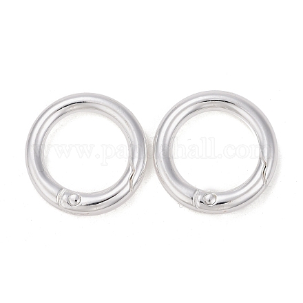 合金プッシュ式リングカン  Oリング  銀  6ゲージ  24x4mm  内径：16.5mm&nbsp;PALLOY-M015-01S-1