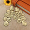 Alloy Dangle Earrings, Shell Shape, Golden, 104x40mm