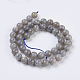 Natural Labradorite Beads Strands&nbsp;G-G212-8mm-23-2