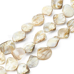 Handmade Shell Beads Strands, Rhombus, Goldenrod, Seashell Color, 18~20x14~20x3~12mm, Hole: 1mm, about 18~20pcs/strand, 14.76~15.35 inch(37.5~39cm)