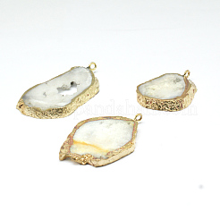 Natural Geode Agate Druzy Slice Pendants&nbsp;G-L461-04B