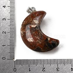 Natural Brecciated Jasper Pendants&nbsp;G-F820-02I