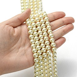 Eco-Friendly Glass Pearl Bead Strands&nbsp;X-HY-A008-8mm-RB003