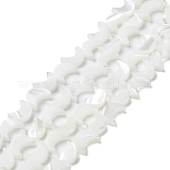 天然ニシキウズガイシェルビーズ連売り  ムーン  雪  8x6.5x2.5mm  穴：0.8mm  約50個/連  15.16''~15.55''（38.5~39.5センチメートル）&nbsp;BSHE-P033-08