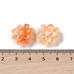 Synthetic Shell Dyed Beads&nbsp;SHEL-C006-01