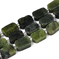 Natural Canadian Jade Beads Strands&nbsp;G-C098-A37-01