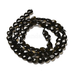 Natural Golden Sheen Obsidian Beads Strands&nbsp;G-P575-C04-6mm