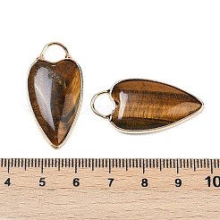 天然石タイガーアイペンダント  ゴールデントーン真鍮パーツ  ハートチャーム  33.5x17x5.5~6.5mm  穴：6x5mm&nbsp;G-G193-02G-10