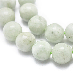Natural Myanmar Jade/Burmese Jade Beads Strands&nbsp;G-D0001-09-8mm