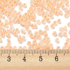 Electroplate Transparent Glass Seed Beads&nbsp;SEED-S042-16A-05