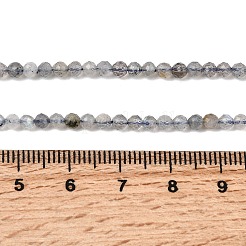 Natural Labradorite Beads Strands&nbsp;LS-G-RM250104-E8