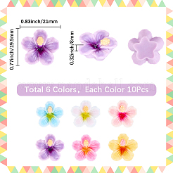 60個6色プラスチックカボション  花  ミックスカラー  19.5x21x8mm  10個/カラー&nbsp;KY-SC0002-54A