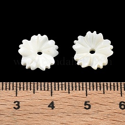 天然のトロカス貝の彫刻ビーズ  花  フローラルホワイト  12x2.5~2.8mm  穴：1.4mm&nbsp;SH-CBACA76-02
