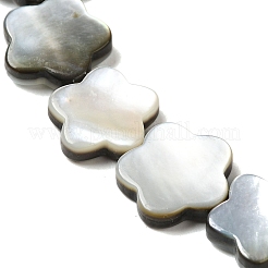 天然ブラックリップシェルビーズ連売り  スモモの花  花  15x15x3mm  穴：1mm  約27個/連  15.08''（38.3センチメートル）&nbsp;SHEL-M021-02B