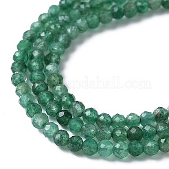 Natural Fuchsite Beads Strands&nbsp;G-C009-A27-01