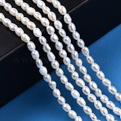 Natural Cultured Freshwater Pearl Beads Strands&nbsp;PEAR-N012-02L
