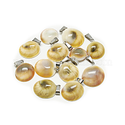 Freshwater Shell Pendants&nbsp;G-S293-17-B
