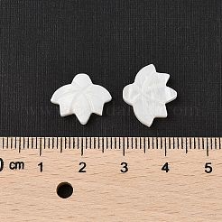 Natural Freshwater Shell Beads&nbsp;SHER-R100-05A