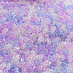 セイロンガラスシードビーズ  ピーナッツ  プラム  4~4.5x2~2.5x2~2.5mm  穴：0.8~0.9mm  約10000個/ポンド&nbsp;SEED-K009-02B-36