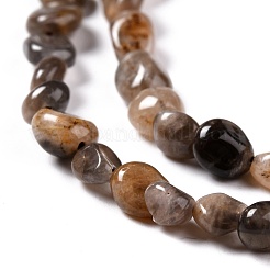 Natural Black Sunstone Beads Strands&nbsp;G-G018-03B