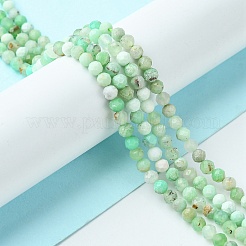 Natural Chrysoprase Beads Strands&nbsp;G-F748-X01-03B
