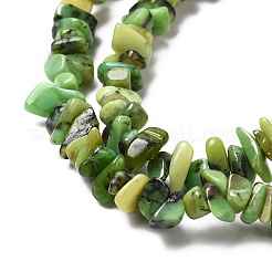 Natural Chrysoprase Beads Strands&nbsp;G-G999-C01