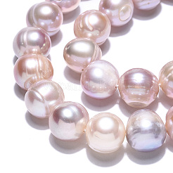 Natural Cultured Freshwater Pearl Beads Strands&nbsp;PEAR-N013-10B