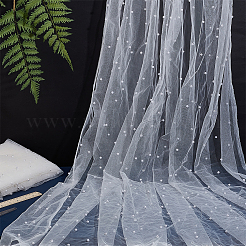 2Pcs Nylon Lace Fabric&nbsp;DIY-PH0029-43A
