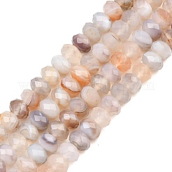 Natural Botswana Agate Beads Strands&nbsp;G-C259-A21-5x8mm