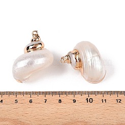 電気メッキ天然貝殻ペンダント20個  金色の鉄製ループが付いた貝殻型のチャーム  ホワイト  29~36x23~31x19~27mm  穴：1~1.8mm&nbsp;SSHEL-PH0001-53