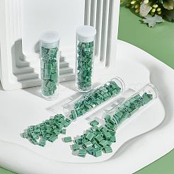 520Pcs 2 Style 2-Hole Glass Seed Beads&nbsp;SEED-NB0001-72B