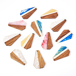12Pcs 6 Colors Opaque Resin & Walnut Pendants&nbsp;RESI-TA0003-41