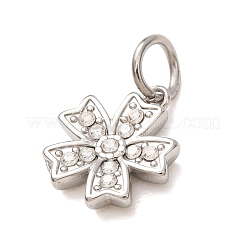 304 Stainless Steel Micro Pave Clear Cubic Zirconia Charms&nbsp;LS-CU-CBAB6EC-24P