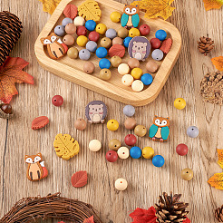 69Pcs 12 Style Food Grade Eco-Friendly Silicone Focal Beads&nbsp;SIL-BT0001-06